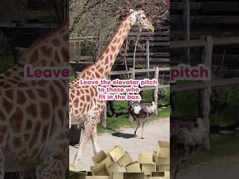 Girafe – plus qu&rsquo;un « elevator pitch »…